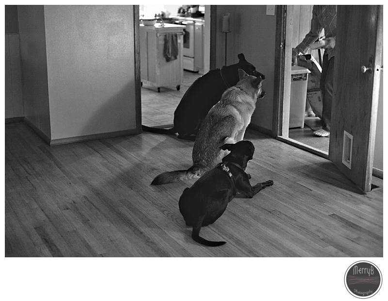 tevin+jon engagement_0037