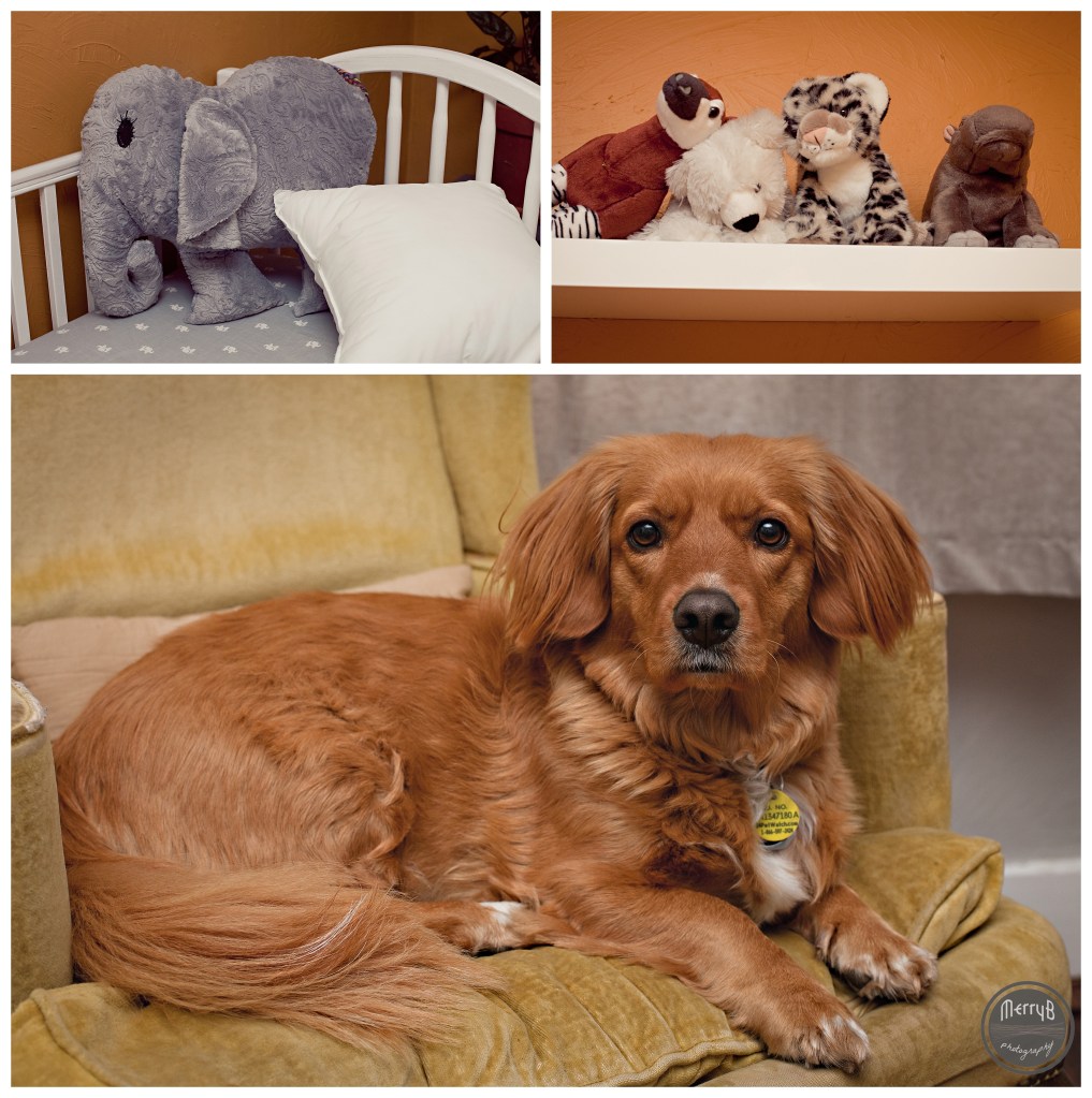 Allison Maternity_0010