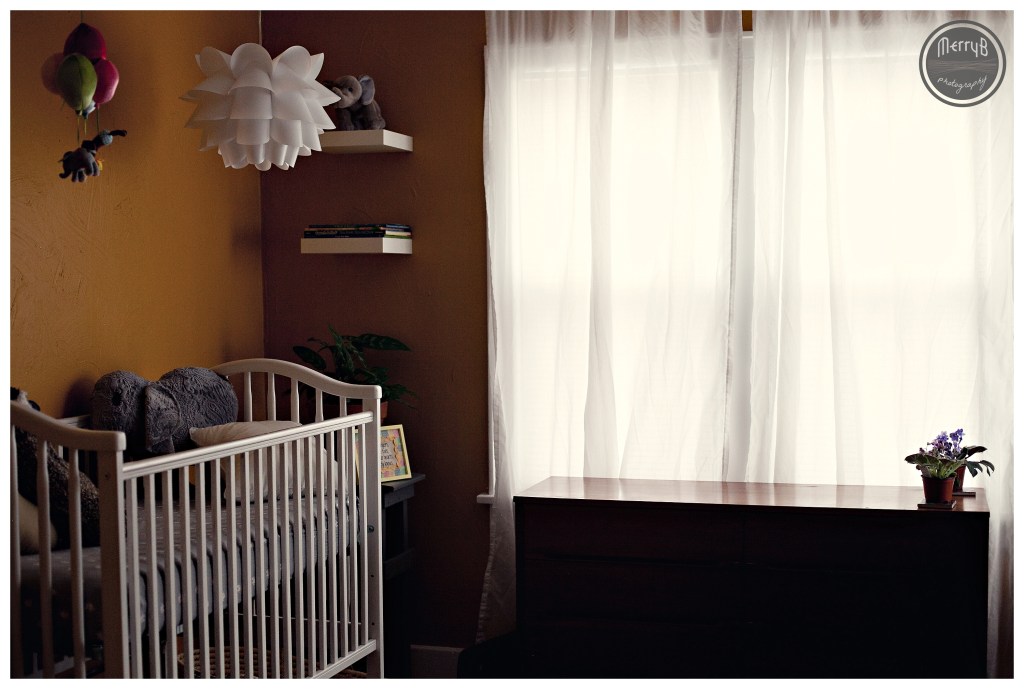 Allison Maternity_0011