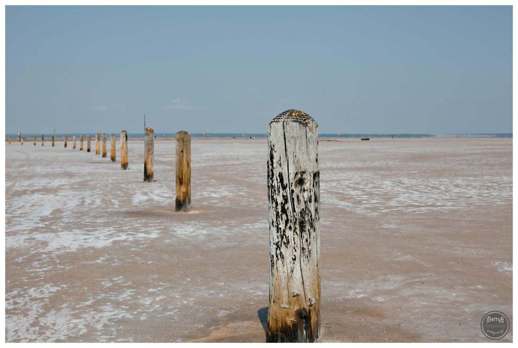 great salt plains_0002