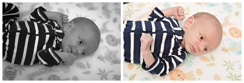 tristan newborn_0004