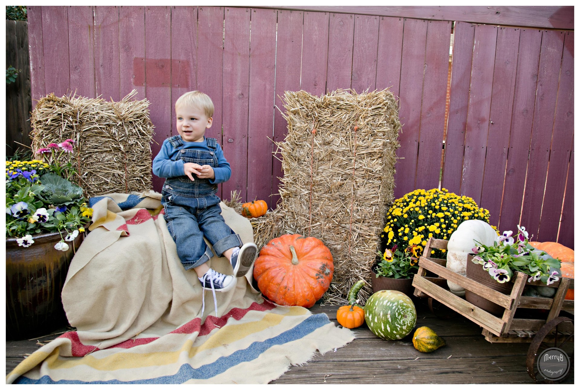 Hunter Fall Mini_0001