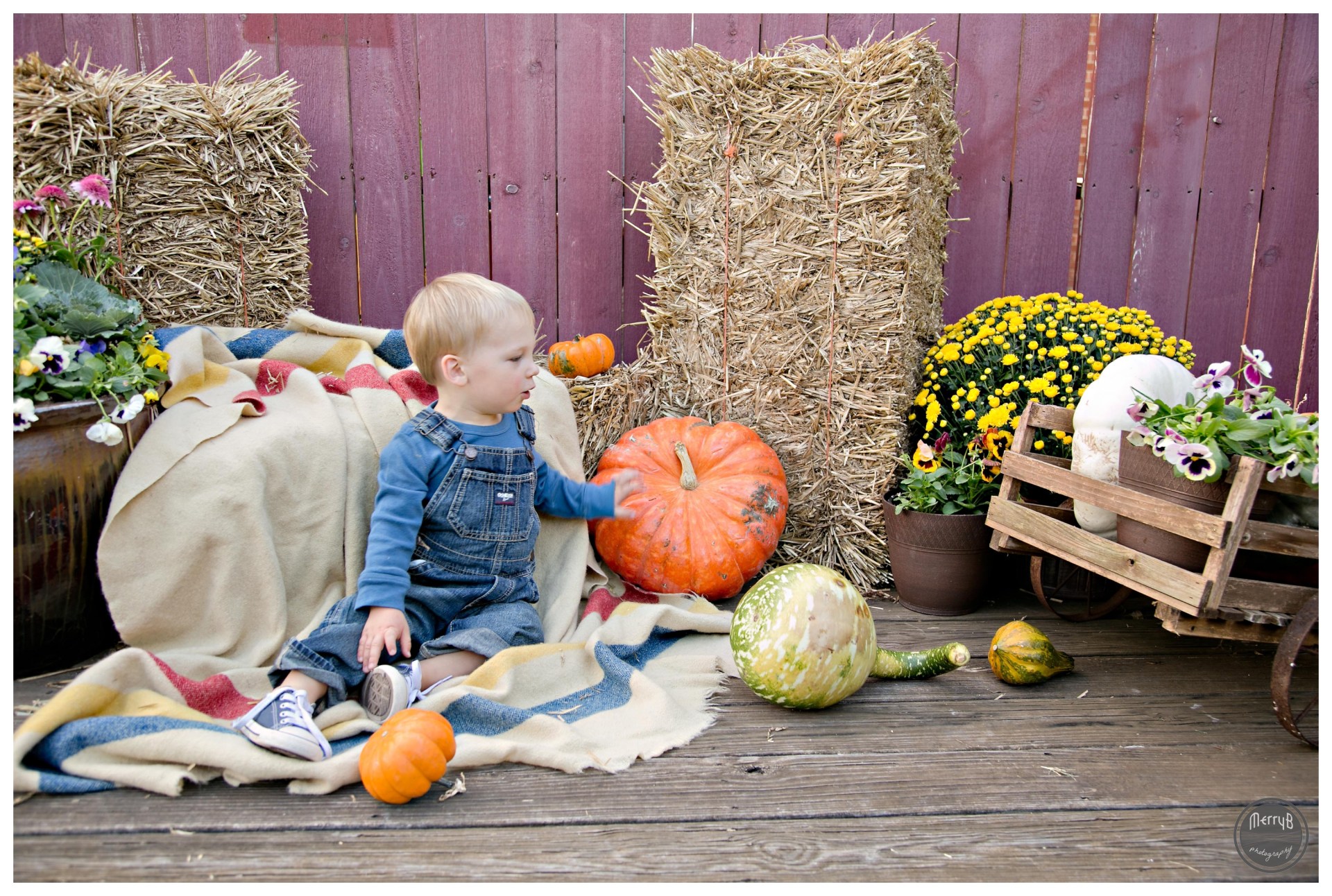 Hunter Fall Mini_0004