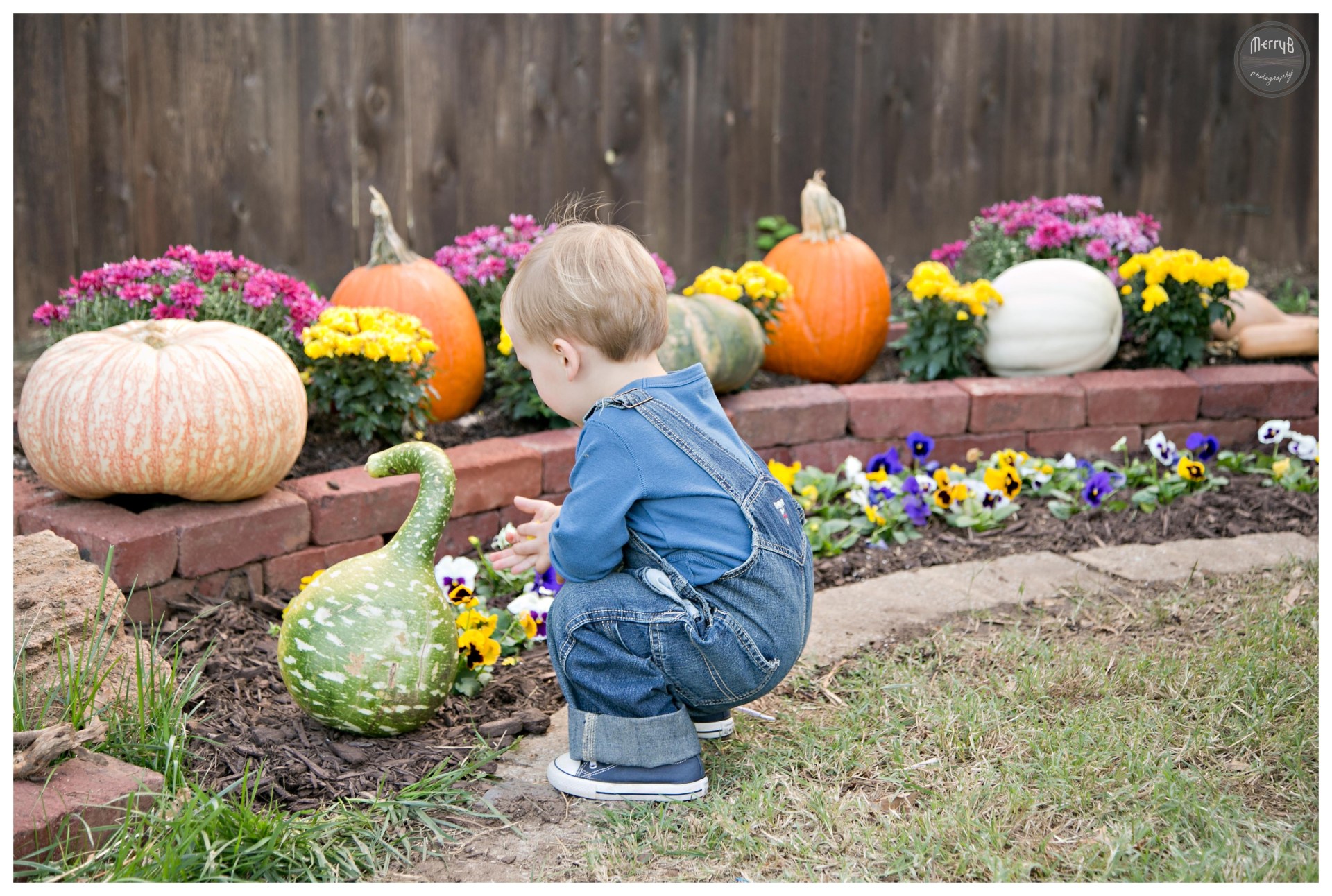 Hunter Fall Mini_0005