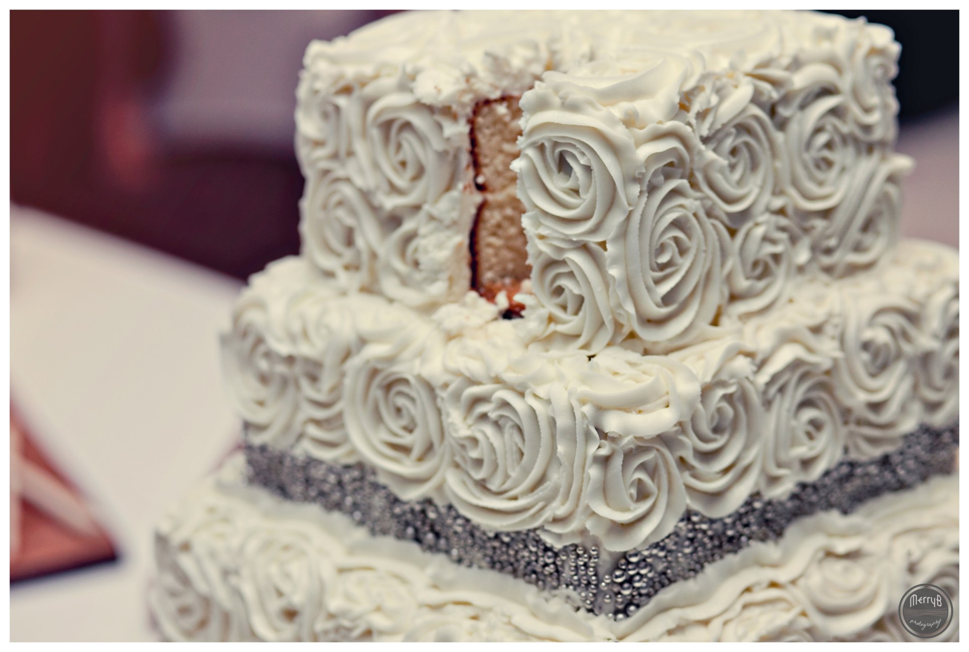 mal+jesse wedding0086