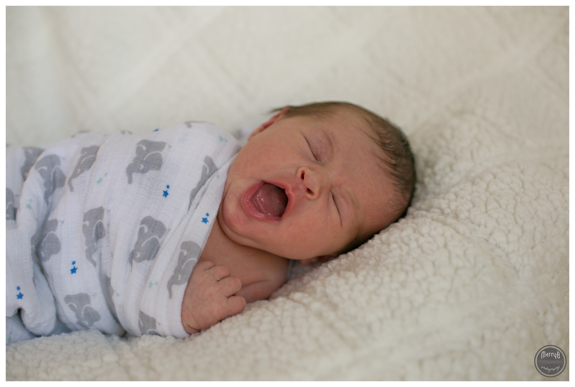 kerrington-newborn_0008